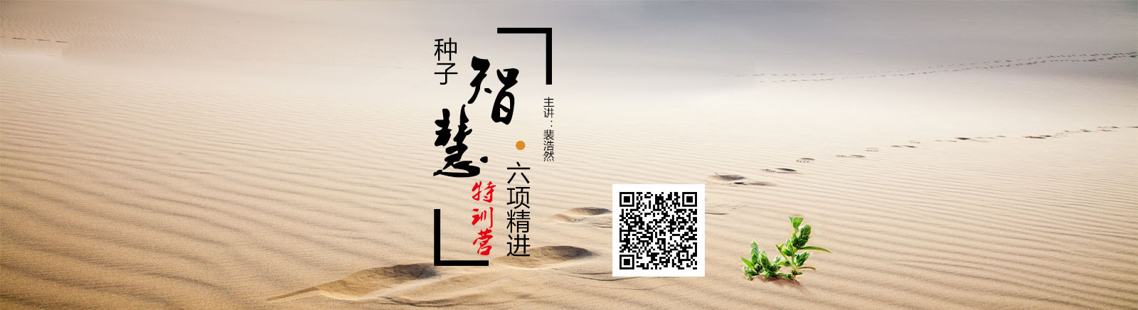 种子智慧六项精进特训营