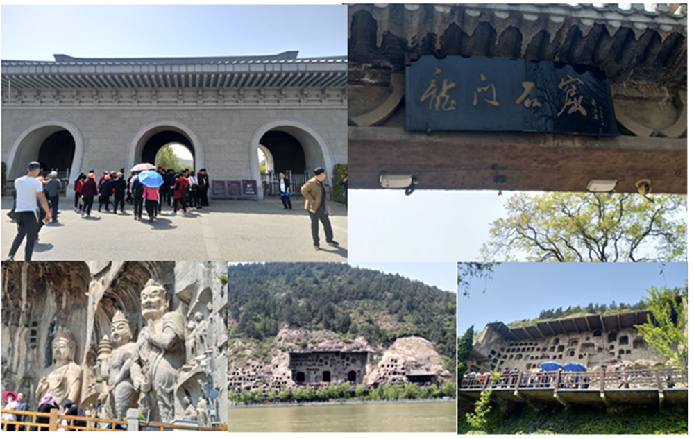 商界精英EMBA赢利智慧系统班学员奔赴洛阳考察旅游