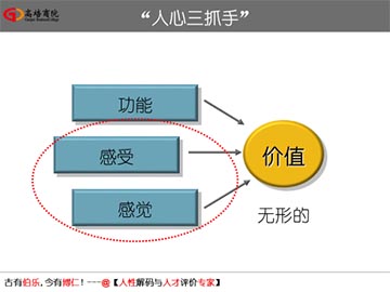 企业管理培训核心课程——打造企业组织系统