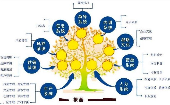 什么是中国企业高层最需要的企业管理培训